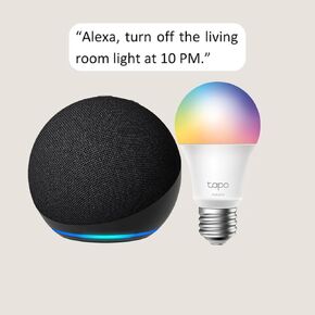 Echo 4th Gen with TP-Link Tapo Smart Color Bulb