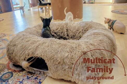 XxingSheep Extra Large Cat Tunnel Bed for Indoor Cats Peekaboo Cat Cave Donut with Center Mat in Saudi Arabia