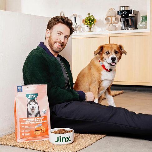 Jinx Premium Dry Dog Food, Real Salmon, Brown Rice & Sweet Potato Kibble with Superfoods & Probiotics, No Fillers, for All Lifestages, 11.5lb in Kuwait
