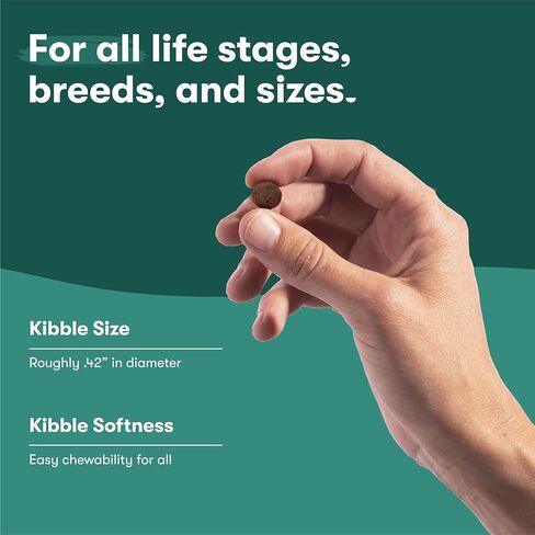 Jinx Premium Dry Dog Food, Real Salmon, Brown Rice & Sweet Potato Kibble with Superfoods & Probiotics, No Fillers, for All Lifestages, 11.5lb in Kuwait