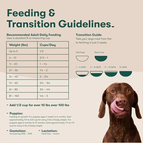 Jinx Premium Dry Dog Food, Real Salmon, Brown Rice & Sweet Potato Kibble with Superfoods & Probiotics, No Fillers, for All Lifestages, 11.5lb in Kuwait