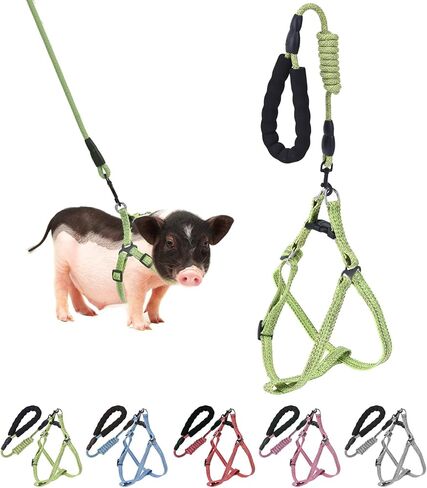 Harness Mini Pig Harness ، Harness Pig Small Tharness مع الرصاص على طراز Leash Infinity ومقبض الرغوة الناعمة لخنازير الحيوانات الأليفة الصغيرة إلى المتوسطة على الركض (Pink ، M) in Kuwait