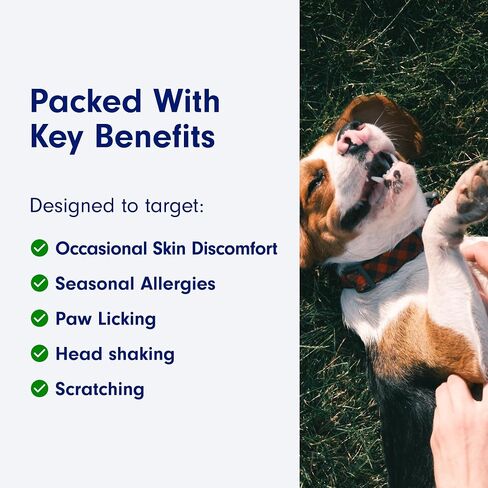 PetLab Co. Itch Relief Chew Pro for Dogs – Omega 3 for Dogs Itch Supplement - Packed with Beneficial Fatty Acids for Healthy Skin – Seasonal Allergies Support in Saudi Arabia