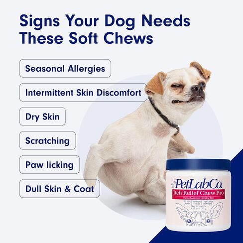 PetLab Co. Itch Relief Chew Pro for Dogs – Omega 3 for Dogs Itch Supplement - Packed with Beneficial Fatty Acids for Healthy Skin – Seasonal Allergies Support in Saudi Arabia