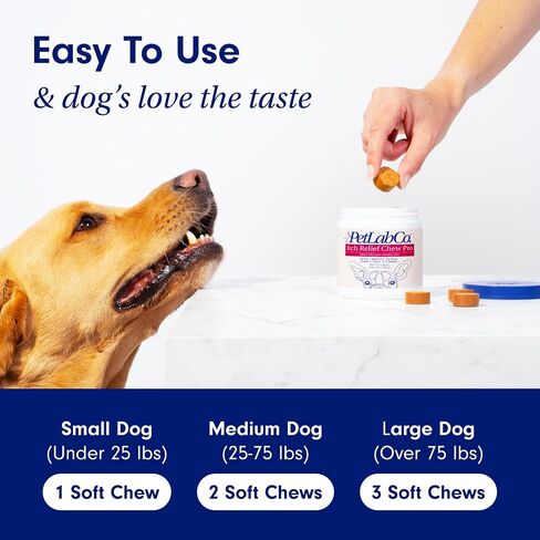 PetLab Co. Itch Relief Chew Pro for Dogs – Omega 3 for Dogs Itch Supplement - Packed with Beneficial Fatty Acids for Healthy Skin – Seasonal Allergies Support in Saudi Arabia