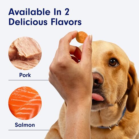 PetLab Co. Itch Relief Chew Pro for Dogs – Omega 3 for Dogs Itch Supplement - Packed with Beneficial Fatty Acids for Healthy Skin – Seasonal Allergies Support in Saudi Arabia