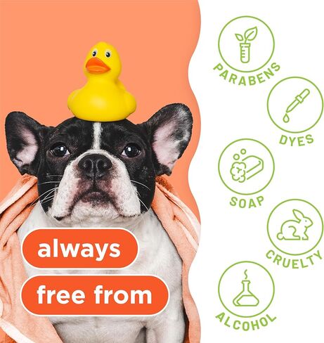 Tropiclean 2-in-1 Dog Shampoo and Conditioner, Cat, Puppy & Kitten Safe, Moisturizing Detangler, Made in the USA, Papaya Scent, 20oz in Kuwait