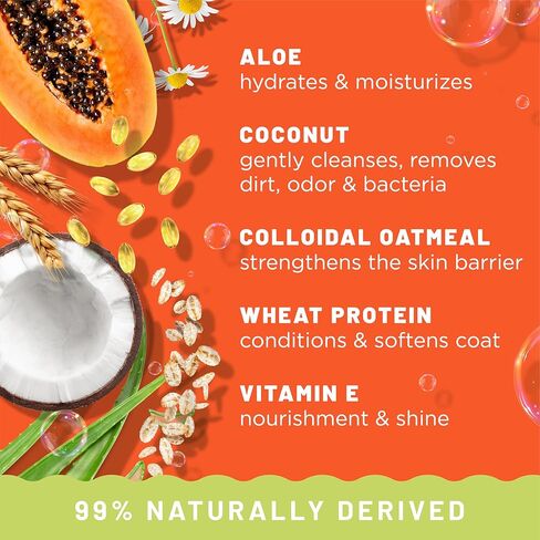 Tropiclean 2-in-1 Dog Shampoo and Conditioner, Cat, Puppy & Kitten Safe, Moisturizing Detangler, Made in the USA, Papaya Scent, 20oz in Kuwait