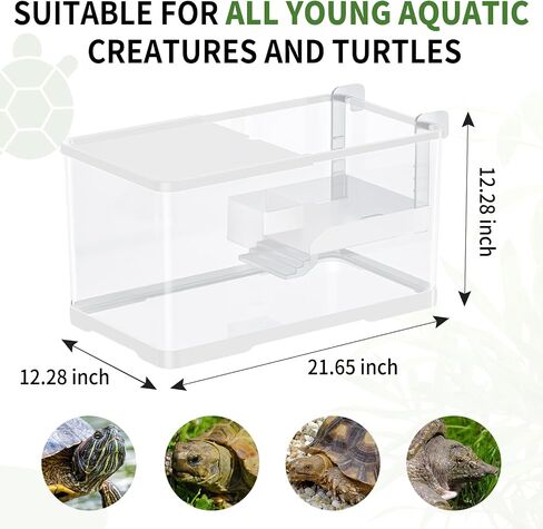 (Tank + Light + Filter + Filter Balls) طقم خزان السلحفاة ، طقم Starter Tartle ، الصرف السفلي ، مناطق متعددة الوظائف للسلاحف ، سرطان البحر ، الأسماك ، البرمائيات ، الزواحف. (15.75 × 8.64 × 8.64 بوصة) in Saudi Arabia