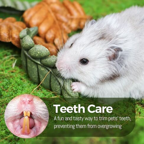 Nibble Strawberries 4Pcs Small Animal Toys, Fruity Chews for Hamster Gerbil Guinea Pig Chinchilla Rat Teeth Grinding Boredom Relief & Mental Stimulation in Saudi Arabia