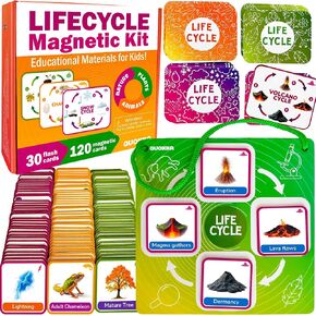 QUOKKA Life Cycle Kit Toy Montessori - 30 Flash Cards Toddler Science Activities for Kids Ages 2-4 - Prek Animal Learning Materials 3-5 - 120 Magnetic Toddler Classroom Must Haves for Preschool
