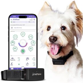 Smart Collar 2.0 by PetPace | AI-Powered Dog Health Monitor & GPS Tracker | Tracks Heart Rate, Pain, Anxiety & Stress, Vet-Backed, Near Real-Time Alerts & Monitoring - Subscription Required (Medium)
