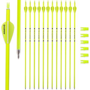 Carbon Arrow Archery 30inch Bright Colors Hunting Target Practice Arrows for Compound & Recurve Bow Spine 500 with Removable Tips (Pack of 12)