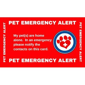 PET Home Amergency Wallet Wallet Contact Card (Red - 5 Cards) ، بالإضافة
