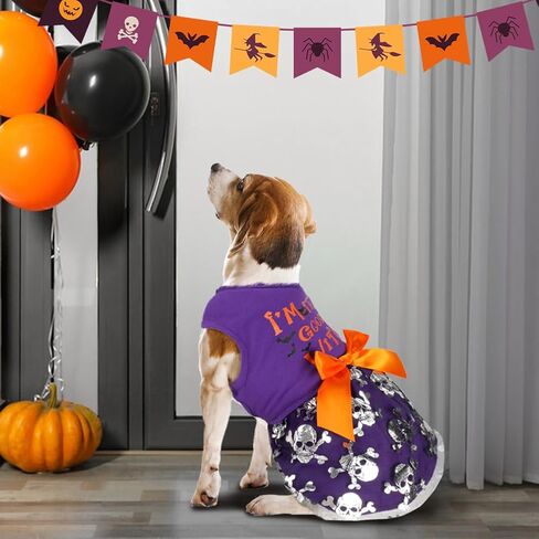 Dog Halloween Costumes Dog Dresses, Halloween Costumes for Dogs Funny Puppy Dress with Bow for Small Large Dogs, Pumpkin Witch Bat Pet Costume Halloween Christmas (Happy 4th of July, Large) in Kuwait