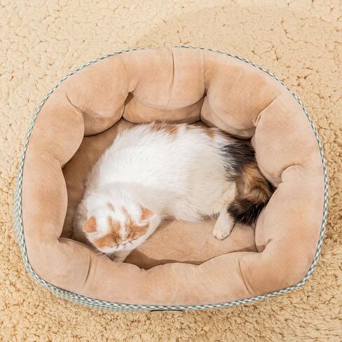 Jiupety Cat Beds for Indoor Cats with Side, Dog Bed for Small Dogs, Cute Calming Pet Sofa with Washable, Cuddle Kitten with Anti-Slip & Water-Resistant Oxford Bottom, Yellow, Fits up to 10 lb Pets in Saudi Arabia