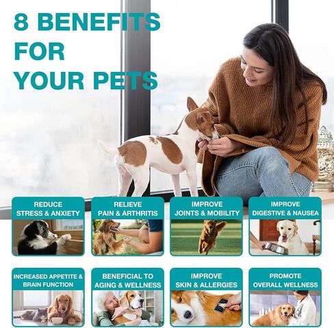 Hemp Oil for Cats and Dogs (3 Packs) Pet Hemp Drops Helps Anxiety Stress Pain Holistic Inflammation Skin Allergies Relief Joint Hip Аrthritis Sleep Aid Calm Tincture Oils, Organic Extract Treats in Kuwait