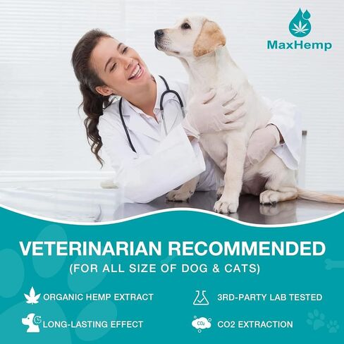 Hemp Oil for Cats and Dogs (3 Packs) Pet Hemp Drops Helps Anxiety Stress Pain Holistic Inflammation Skin Allergies Relief Joint Hip Аrthritis Sleep Aid Calm Tincture Oils, Organic Extract Treats in Kuwait