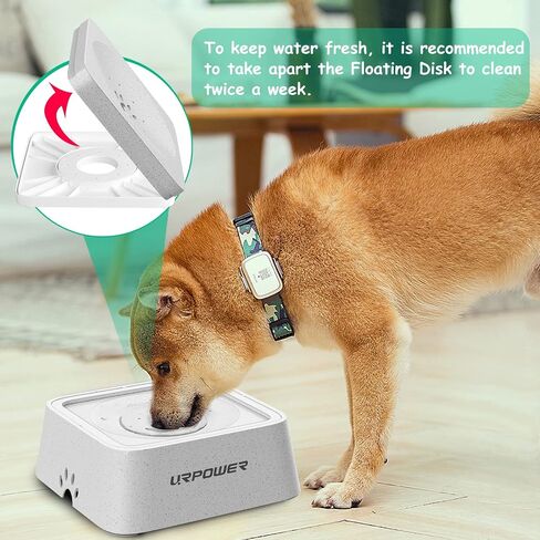 URPOWER 2.5L Dog Water Bowl 85oz Large Capacity Dog Bowl No Spill Pet Water Dispenser for Messy Drinkers Splash Proof Slow Water Feeder Vehicle Carried Travel Dog Bowl for Dogs, Cats &Pets in Kuwait
