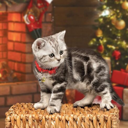 أجراس Jingle ، 100 حزمة كبيرة ملونة الحرف أجراس عيد الميلاد أجراس المعادن أجراس DIY Bells لعرض عيد الميلاد مشاريع مهرجان مهرجان عيد الميلاد (0.98 بوصة) in Kuwait