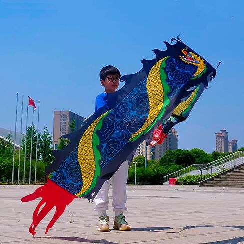 Lightweight Ribbon Dragon Poi for Kids, Outdoor Exercise Dragon & Phoenix Washable Ribbon Streamer with Real-Like Dragon Head Flowy Toy Set (Rainbow Dragon Claw, 16.4 FT) in Saudi Arabia
