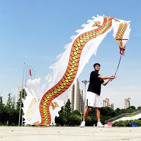 Lightweight Ribbon Dragon Poi for Kids, Outdoor Exercise Dragon & Phoenix Washable Ribbon Streamer with Real-Like Dragon Head Flowy Toy Set (Rainbow Dragon Claw, 16.4 FT) in Saudi Arabia