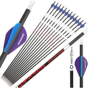 ZSHJGJR 31" Luminous Pure Carbon Arrows 300 350 400 500 600 Spine Hunting Arrows with 2" Vanes Removable Tips Targeting Arrows for Compound&Recurve&Long Bow 6/12pcs