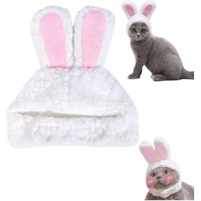 Cat outfit Cats Hat Hitten Costume Bunny Sheep Lion Mane Frogs Hat Cute Omg Adorables Style Party Costume Assume headloy (Size S ، Frog)