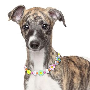 Rainbow Dog Necklace for Medium Dogs - Adjustable Dog Pearl Necklace with Colorful Beads, Handmade Pet Jewelry for Dogs