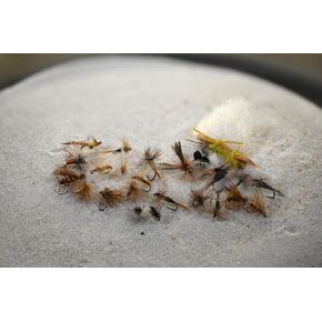 24ct Dry Fly Assorment | 3 Foam Flies and 21 of Our Most Popular Dry Flies
