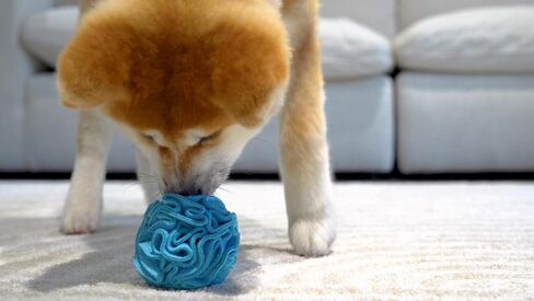 Puppy and Small Breed Snuffle Interactive Foraging Dog Puzzle Ball Toy Pink in Saudi Arabia