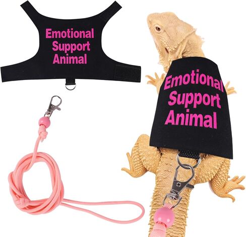 Bearded Dragon Harness and Leash Set Adjustable Reptile Lizard Leash Rope Vest Clothes Starter Kit Accessories for Small Animal Outdoor Walking Training in Kuwait