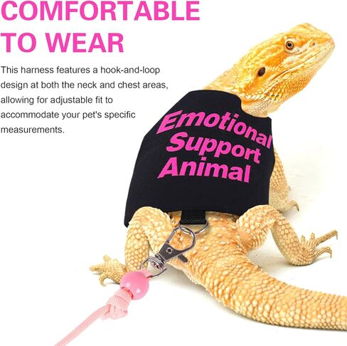 Bearded Dragon Harness and Leash Set Adjustable Reptile Lizard Leash Rope Vest Clothes Starter Kit Accessories for Small Animal Outdoor Walking Training in Kuwait