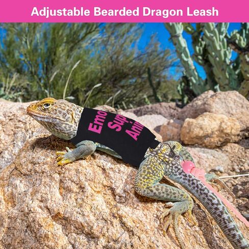 Bearded Dragon Harness and Leash Set Adjustable Reptile Lizard Leash Rope Vest Clothes Starter Kit Accessories for Small Animal Outdoor Walking Training in Kuwait