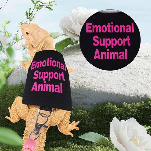 Bearded Dragon Harness and Leash Set Adjustable Reptile Lizard Leash Rope Vest Clothes Starter Kit Accessories for Small Animal Outdoor Walking Training in Kuwait