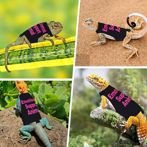 Bearded Dragon Harness and Leash Set Adjustable Reptile Lizard Leash Rope Vest Clothes Starter Kit Accessories for Small Animal Outdoor Walking Training in Kuwait