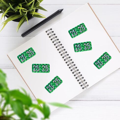 500pcs 2025 ملصقات سنة ، 0.74 × 1.49in المجسم العازارات 2025 ملصقات السنة الجديدة ، ملصقات ، ملصقات الأرقام المشفرة للألوان ، ملصقات 25 سنة لمجلدات ملفات تبويب ، مستلزمات مخططات مكتب (زرقاء) in Saudi Arabia