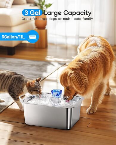 (4 حزمة) مرشحات نافورة المياه للحيوانات الأليفة استبدال ، خرطوشة مرشح لـ Lesotc Dog Water Fountain/Dog Water Bowl Suitener ، عالية الكفاءة وأكثر أمانًا وأنظفًا. in Kuwait