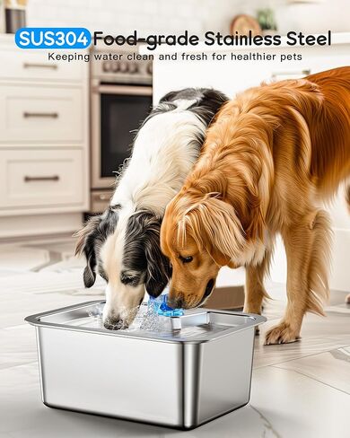 (4 حزمة) مرشحات نافورة المياه للحيوانات الأليفة استبدال ، خرطوشة مرشح لـ Lesotc Dog Water Fountain/Dog Water Bowl Suitener ، عالية الكفاءة وأكثر أمانًا وأنظفًا. in Kuwait