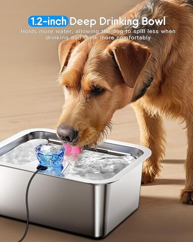 (4 حزمة) مرشحات نافورة المياه للحيوانات الأليفة استبدال ، خرطوشة مرشح لـ Lesotc Dog Water Fountain/Dog Water Bowl Suitener ، عالية الكفاءة وأكثر أمانًا وأنظفًا. in Kuwait