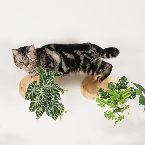 Cat Wall Shelves, 11.8 Inch Cat Wall Steps for Drywall, Cat Wall Furniture, Cat Stairs for Wall Mounted with Jute Scratching Cat Shelf for Most Kitten, Large Cats, 2 of Pack in Saudi Arabia
