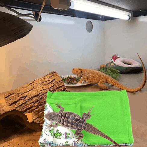 Bearded Dragon Bed and Reptile Hammock Swing Hanging Bed, Reptile Accessories, Small Pet Animal Hide Habitat Shelter, Cage Accessories for Bearded Dragon Leopard Gecko (Colorful) in Saudi Arabia