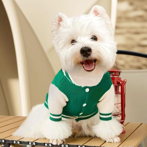 Small Dog Sweater, Warm Pet Sweater, Cute Knitted Classic Dog Sweaters for Small Dogs, Cat Sweater Dog Sweatshirt Clothes Coat Apparel (M) in Saudi Arabia