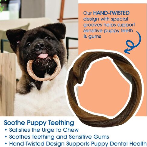 N-Bone Puppy Teething Rings Taste of Texas Burnt Ends Flavor 3 Count in Saudi Arabia