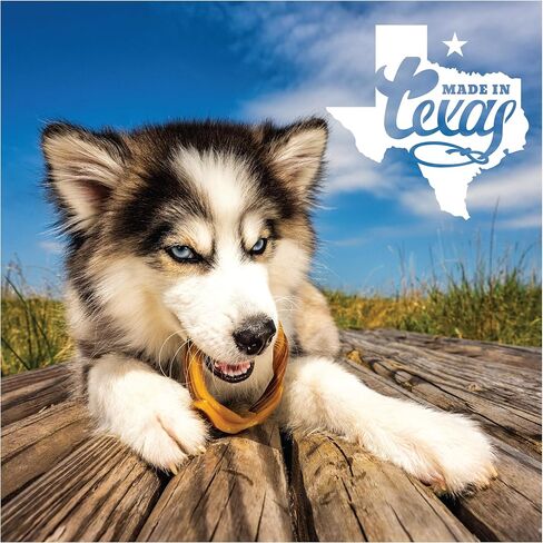 N-Bone Puppy Teething Rings Taste of Texas Burnt Ends Flavor 3 Count in Saudi Arabia