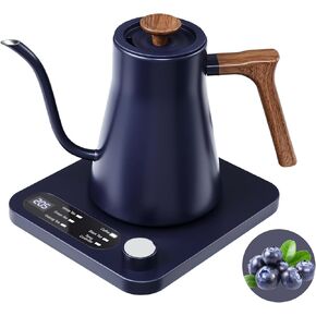 Gooseneck Electric Kettle - 1200W Quick Boil, Temp Control with 6 Presets & ±5℉ Adjustment, Accurate Pouring, 2H Auto Keep Warm, for Pour Over Coffee & Tea, Stainless Steel, 0.7L, Green