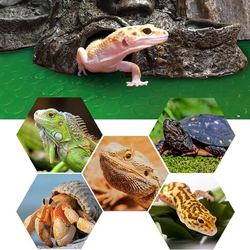 Bearded Dragon Tank Accessories, Reptile Terrarium Carpet Substrate for Leopard Gecko, Lizard, Iguana, Snake, Tortoise, Non-Adhesive Reptile Habitat Bedding(Black 79inch) in Kuwait