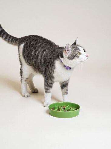 Ceramic Slow Feeder Dog Bowls Small Breed, 0.5 Cups Dog Food Dish for Fast Eaters, Puzzle Bowl for Small Dogs and Cats, 5.5 Inch-Blue in Saudi Arabia