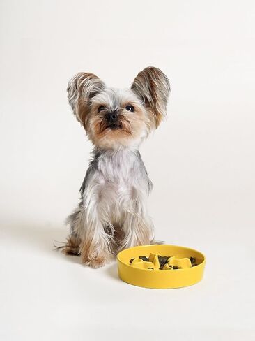 Ceramic Slow Feeder Dog Bowls Small Breed, 0.5 Cups Dog Food Dish for Fast Eaters, Puzzle Bowl for Small Dogs and Cats, 5.5 Inch-Blue in Saudi Arabia