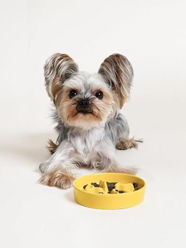 Ceramic Slow Feeder Dog Bowls Small Breed, 0.5 Cups Dog Food Dish for Fast Eaters, Puzzle Bowl for Small Dogs and Cats, 5.5 Inch-Blue in Saudi Arabia